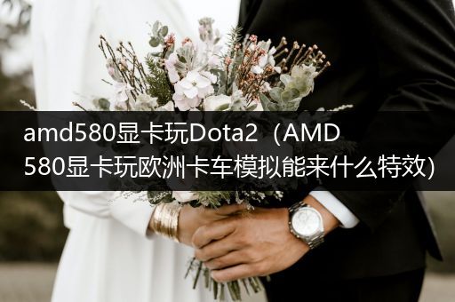 amd580显卡玩Dota2（AMD580显卡玩欧洲卡车模拟能来什么特效）