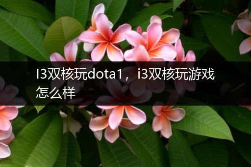 I3双核玩dota1，i3双核玩游戏怎么样