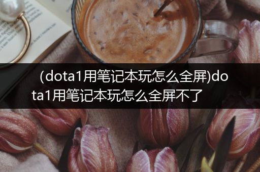 （dota1用笔记本玩怎么全屏)dota1用笔记本玩怎么全屏不了