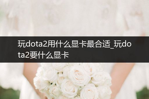 玩dota2用什么显卡最合适_玩dota2要什么显卡