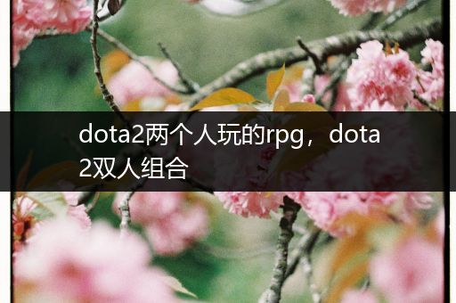 dota2两个人玩的rpg，dota2双人组合