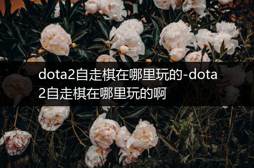 dota2自走棋在哪里玩的-dota2自走棋在哪里玩的啊