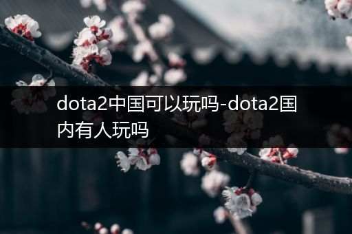 dota2中国可以玩吗-dota2国内有人玩吗