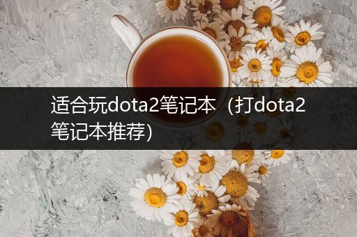 适合玩dota2笔记本（打dota2笔记本推荐）