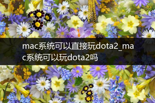 mac系统可以直接玩dota2_mac系统可以玩dota2吗