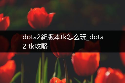 dota2新版本tk怎么玩_dota2 tk攻略