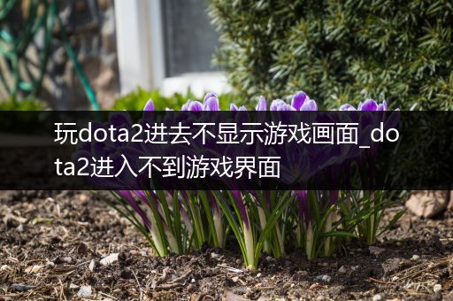 玩dota2进去不显示游戏画面_dota2进入不到游戏界面