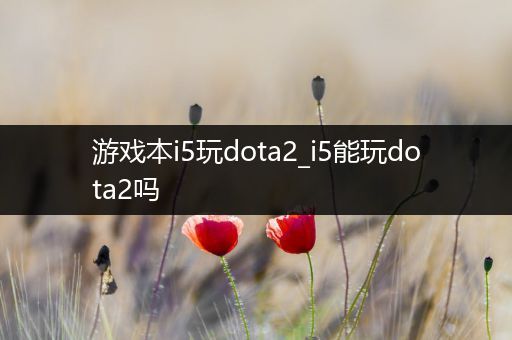 游戏本i5玩dota2_i5能玩dota2吗