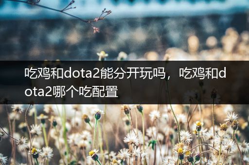 吃鸡和dota2能分开玩吗，吃鸡和dota2哪个吃配置