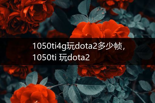 1050ti4g玩dota2多少帧，1050ti 玩dota2