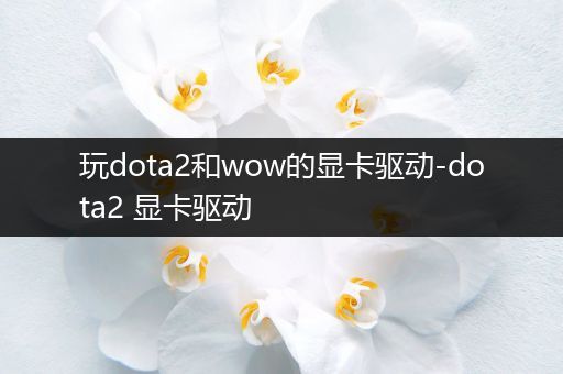 玩dota2和wow的显卡驱动-dota2 显卡驱动