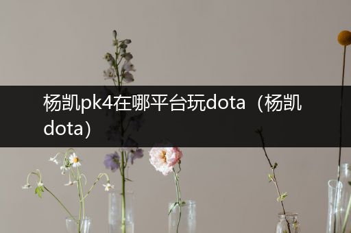 杨凯pk4在哪平台玩dota（杨凯 dota）