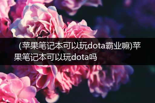 （苹果笔记本可以玩dota霸业嘛)苹果笔记本可以玩dota吗