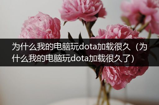 为什么我的电脑玩dota加载很久（为什么我的电脑玩dota加载很久了）