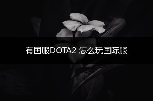 有国服DOTA2 怎么玩国际服