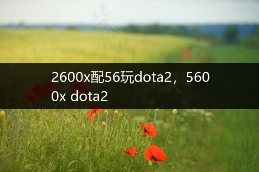 2600x配56玩dota2，5600x dota2