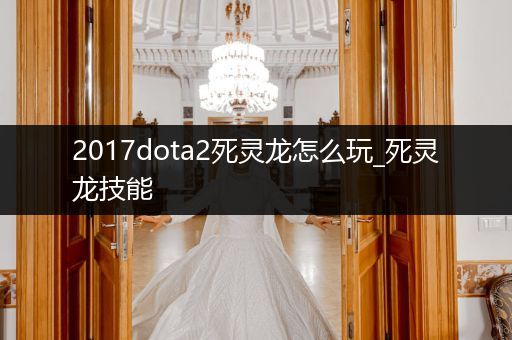 2017dota2死灵龙怎么玩_死灵龙技能
