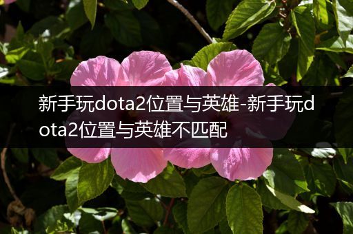 新手玩dota2位置与英雄-新手玩dota2位置与英雄不匹配