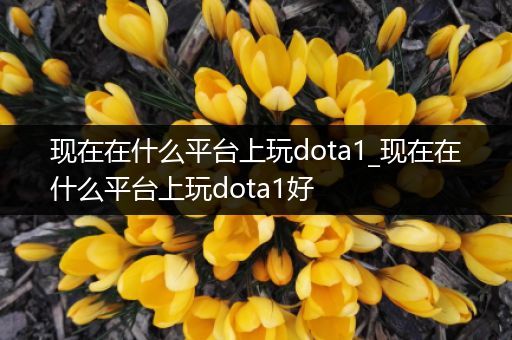 现在在什么平台上玩dota1_现在在什么平台上玩dota1好