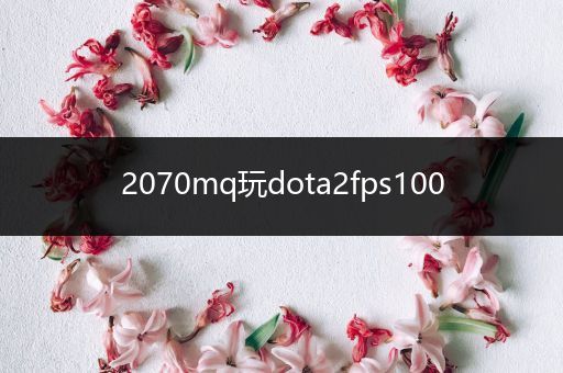 2070mq玩dota2fps100