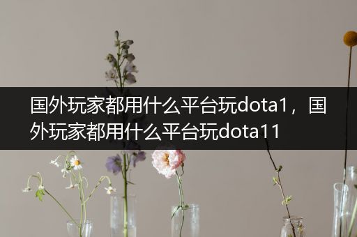 国外玩家都用什么平台玩dota1，国外玩家都用什么平台玩dota11