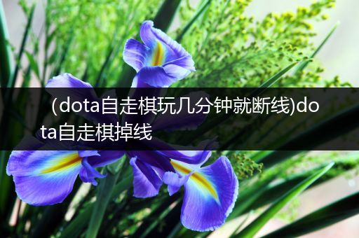 （dota自走棋玩几分钟就断线)dota自走棋掉线