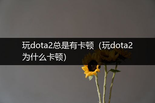 玩dota2总是有卡顿（玩dota2为什么卡顿）