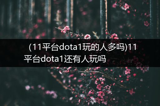 （11平台dota1玩的人多吗)11平台dota1还有人玩吗