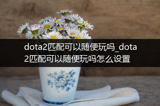 dota2匹配可以随便玩吗_dota2匹配可以随便玩吗怎么设置