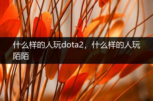 什么样的人玩dota2，什么样的人玩陌陌