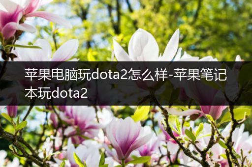 苹果电脑玩dota2怎么样-苹果笔记本玩dota2