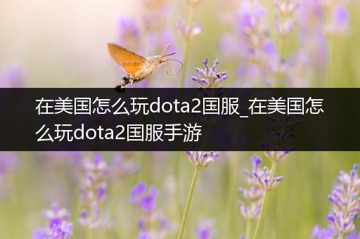 在美国怎么玩dota2国服_在美国怎么玩dota2国服手游