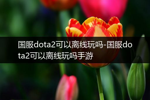 国服dota2可以离线玩吗-国服dota2可以离线玩吗手游