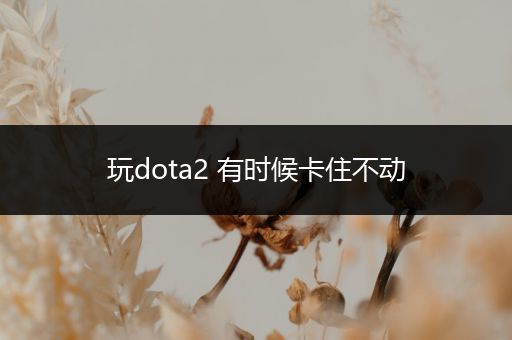 玩dota2 有时候卡住不动