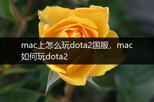 mac上怎么玩dota2国服，mac如何玩dota2