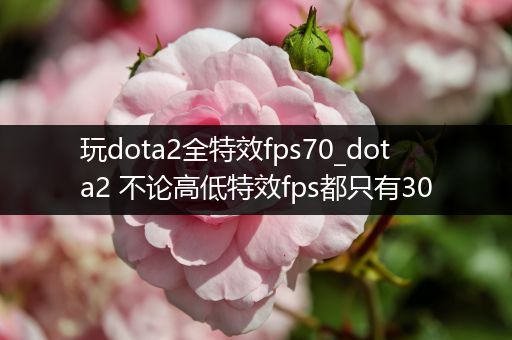 玩dota2全特效fps70_dota2 不论高低特效fps都只有30