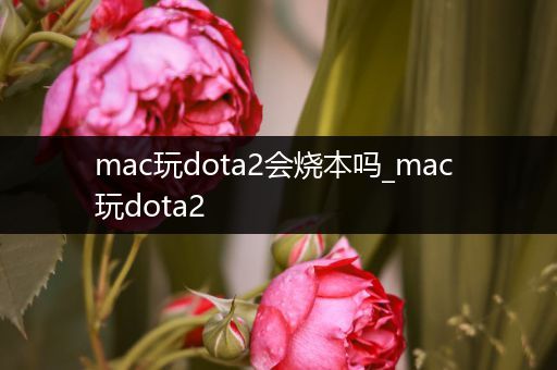 mac玩dota2会烧本吗_mac 玩dota2