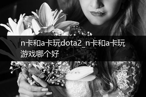 n卡和a卡玩dota2_n卡和a卡玩游戏哪个好