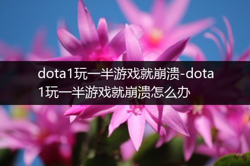 dota1玩一半游戏就崩溃-dota1玩一半游戏就崩溃怎么办