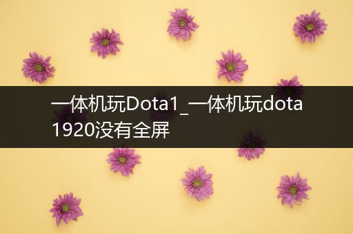 一体机玩Dota1_一体机玩dota1920没有全屏