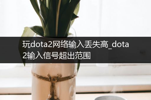 玩dota2网络输入丢失高_dota2输入信号超出范围