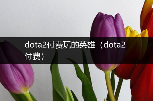 dota2付费玩的英雄（dota2 付费）