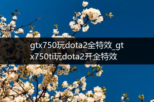 gtx750玩dota2全特效_gtx750ti玩dota2开全特效