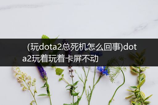 （玩dota2总死机怎么回事)dota2玩着玩着卡屏不动