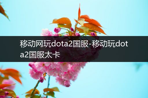 移动网玩dota2国服-移动玩dota2国服太卡