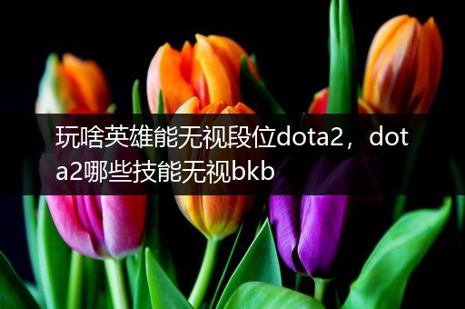 玩啥英雄能无视段位dota2，dota2哪些技能无视bkb