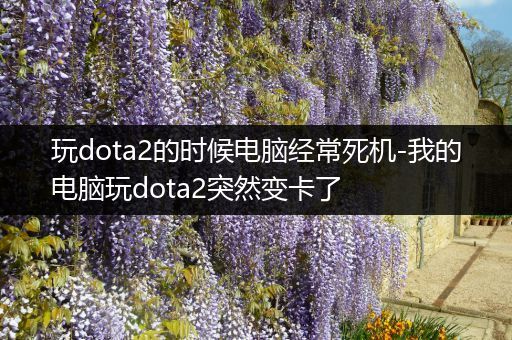 玩dota2的时候电脑经常死机-我的电脑玩dota2突然变卡了