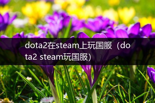 dota2在steam上玩国服（dota2 steam玩国服）
