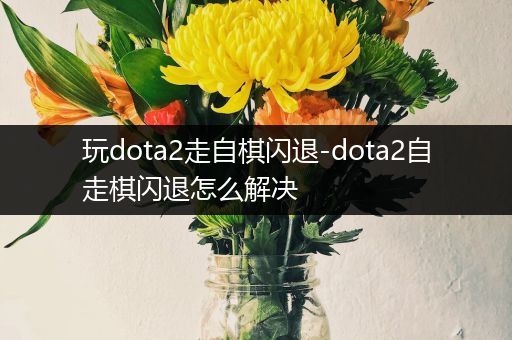 玩dota2走自棋闪退-dota2自走棋闪退怎么解决