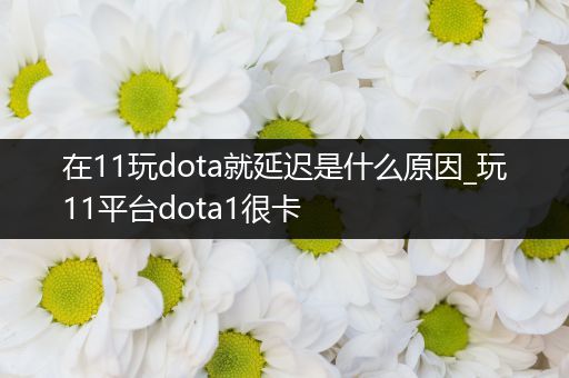 在11玩dota就延迟是什么原因_玩11平台dota1很卡